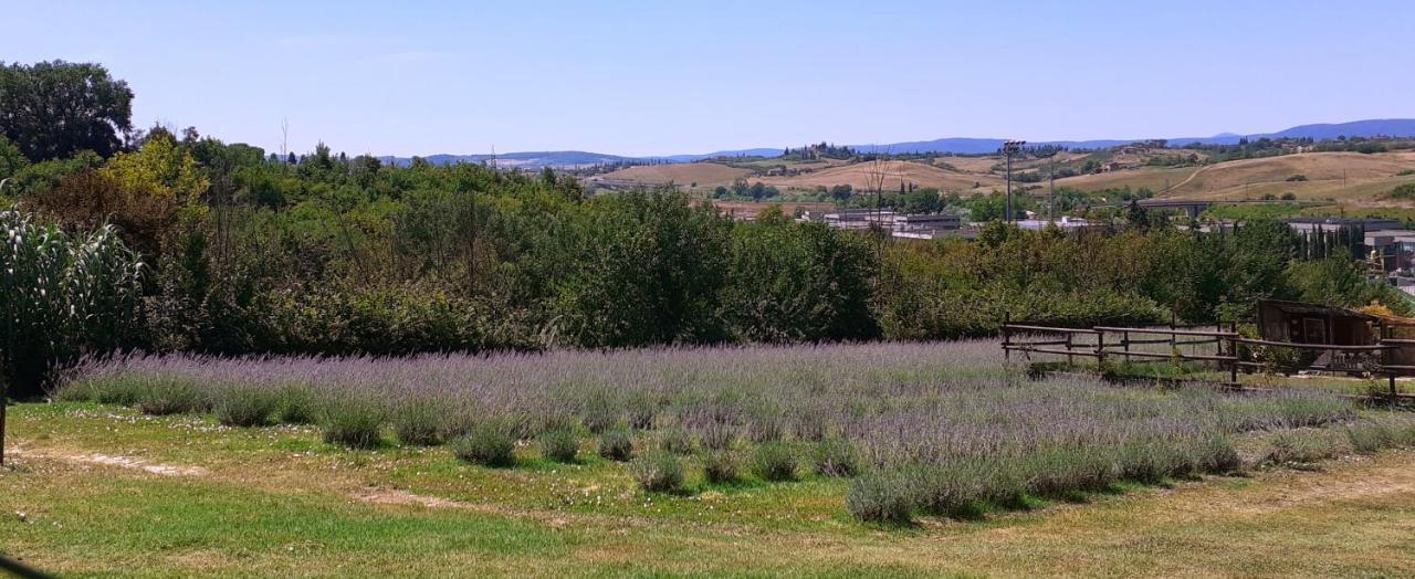 Il Lavandeto - In The Farm stay *