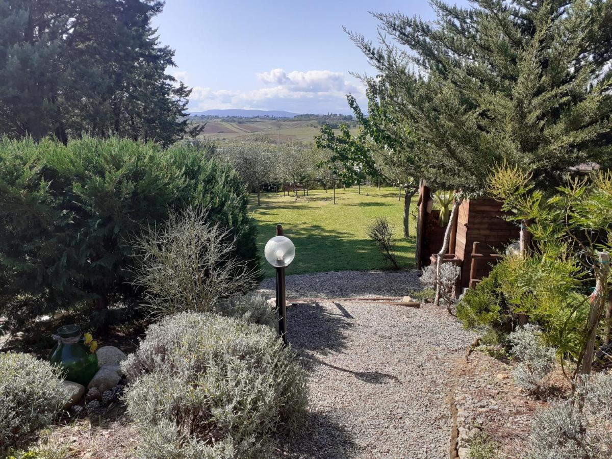 Farm stay Il Lavandeto - In The *