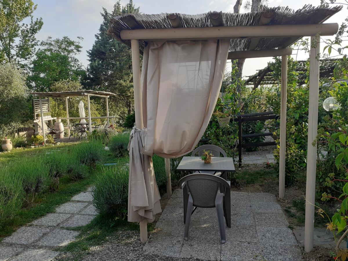 Il Lavandeto - In The Agroturismo Siena